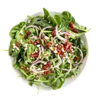 Salat